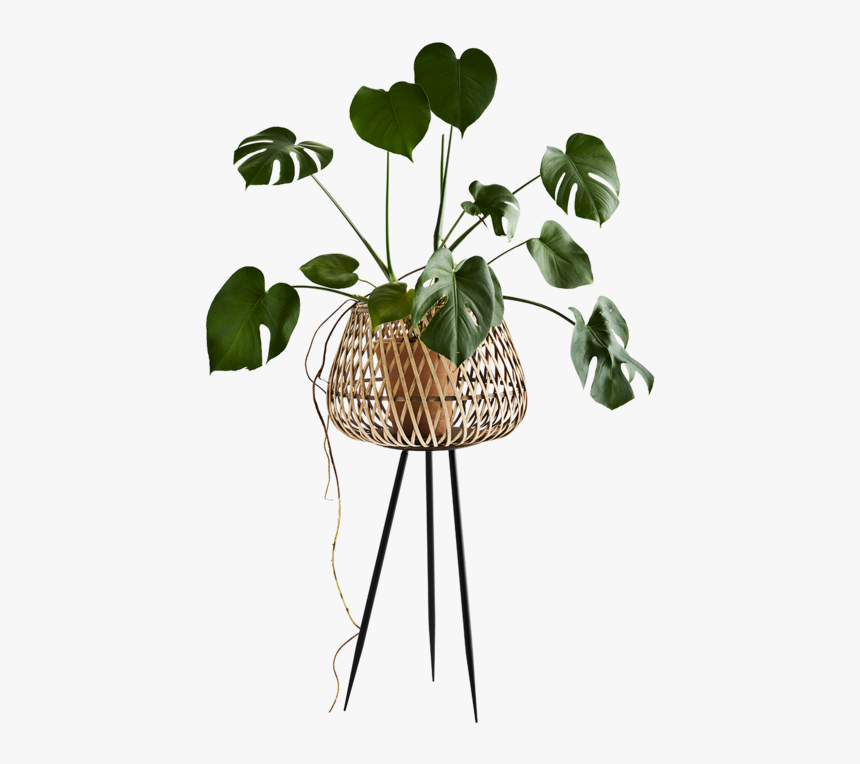 Plant Stand Png Transparent, Png Download, Free Download