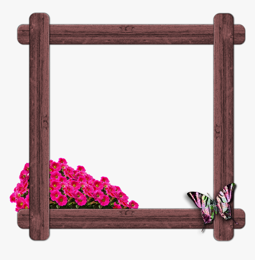 Window Picture Frames Wood - Frame Butterfly, HD Png Download, Free Download