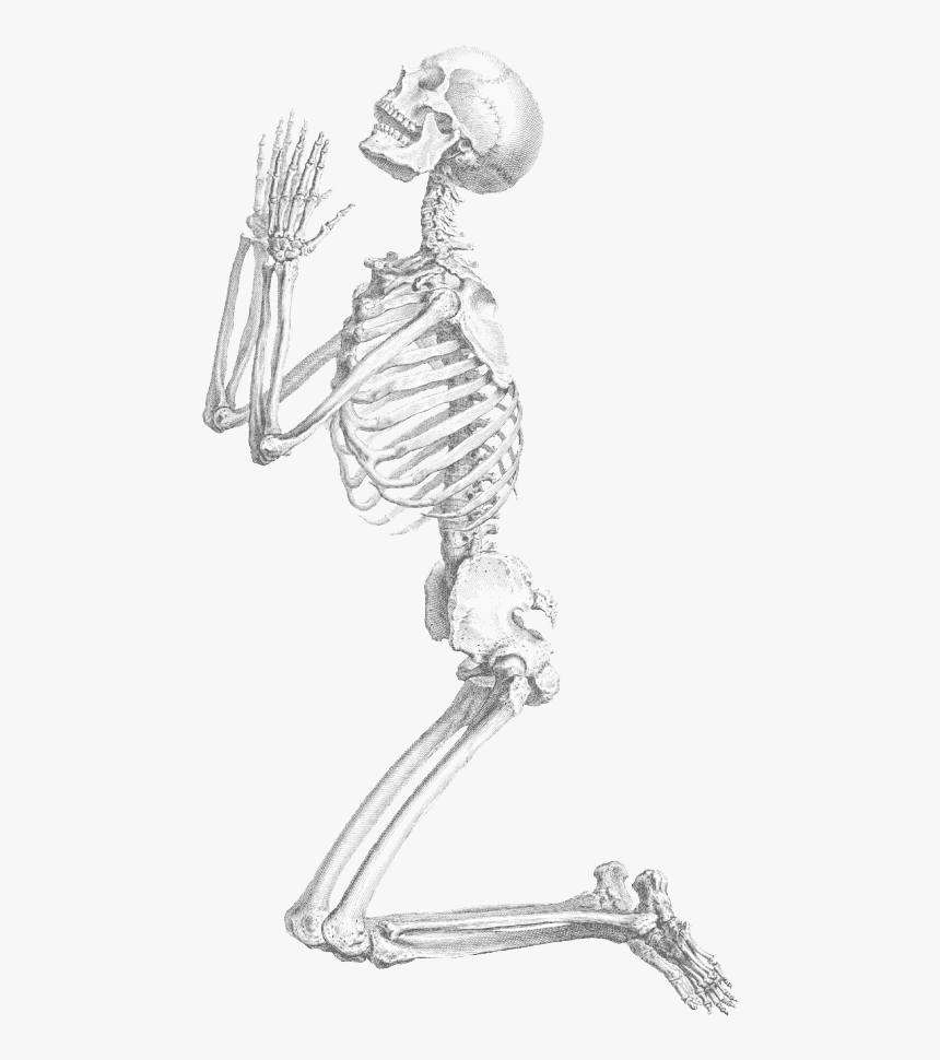 Halloween Skeleton Transparent Background - Praying Skeleton Png, Png ...