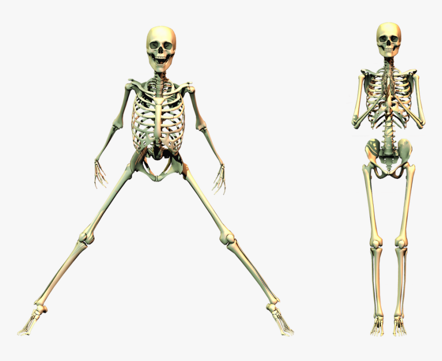Spooky Skeleton Png Clipart - Spooky Skeleton Png, Transparent Png, Free Download
