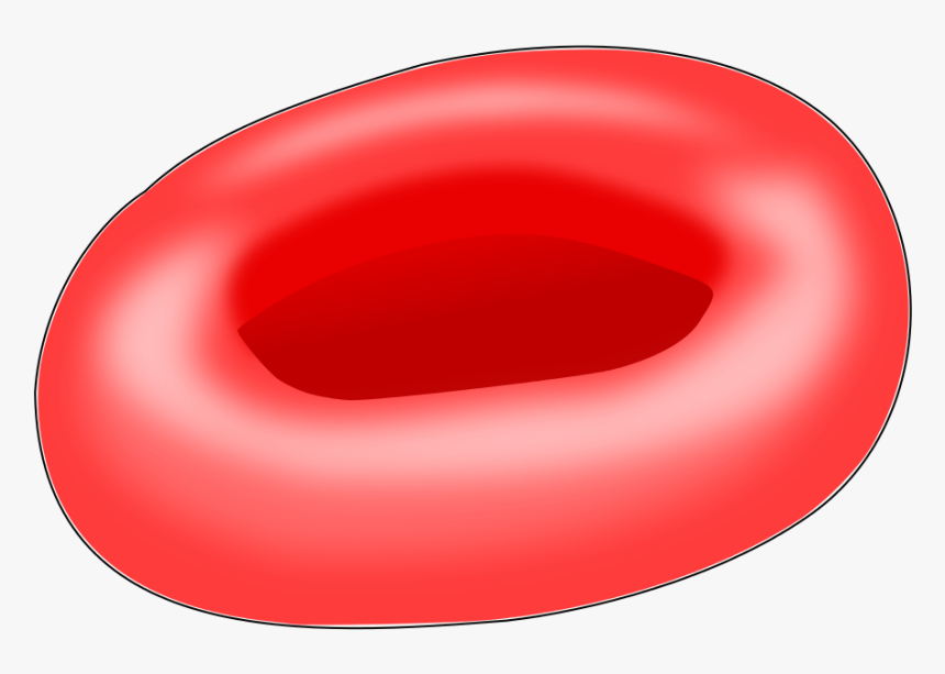 Red Blood Cell Svg, HD Png Download, Free Download