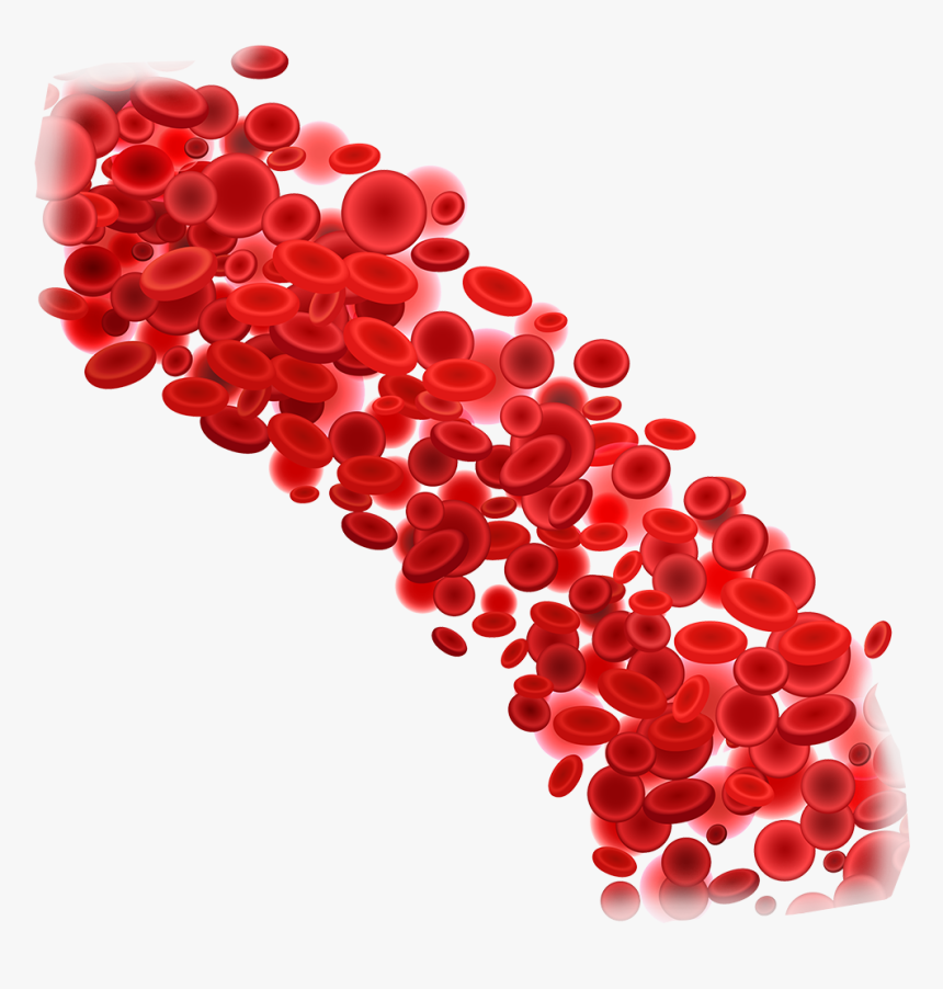 Blood Donation Download Png Image - Red Blood Cells Png, Transparent Png, Free Download