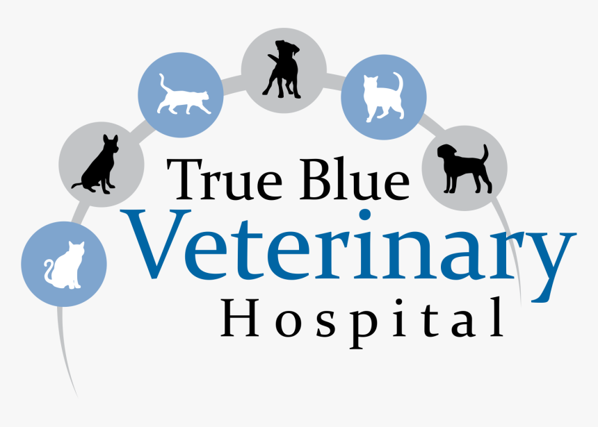 True Blue Veterinary Hospital - Graphic Design, HD Png Download, Free Download