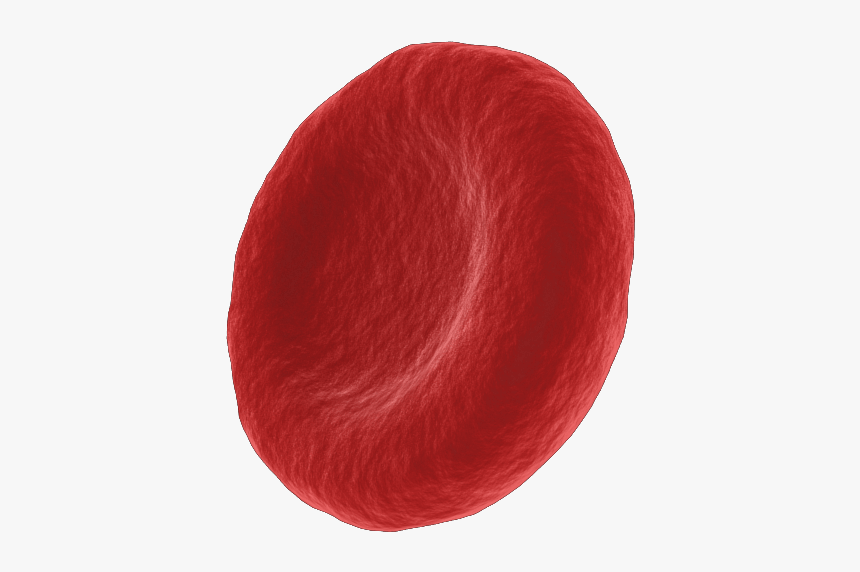 Blood Cells Png - Red Cell, Transparent Png, Free Download