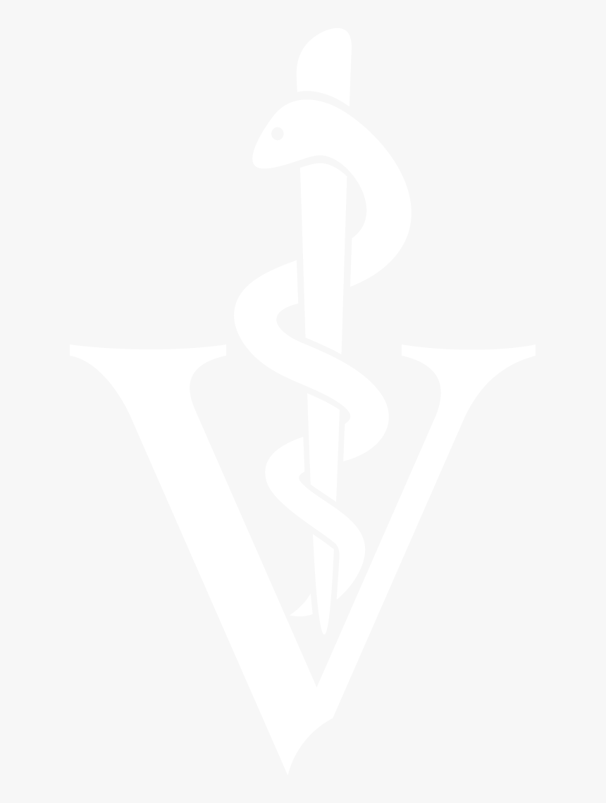 Footer Logo - Transparent Veterinarian Logo, HD Png Download, Free Download