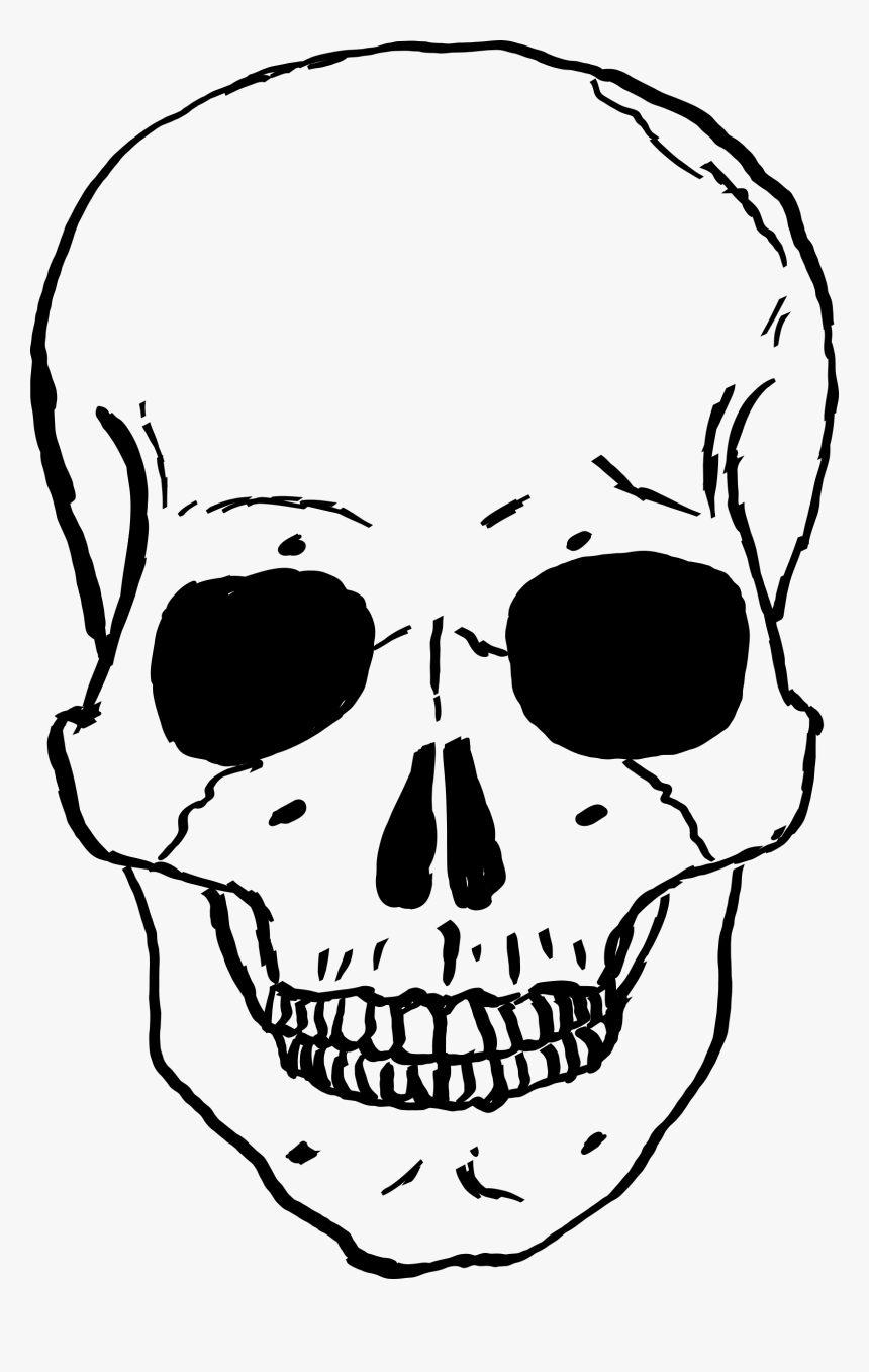 Skeleton Head Transparent - Skeleton Skull Cartoon, HD Png Download, Free Download