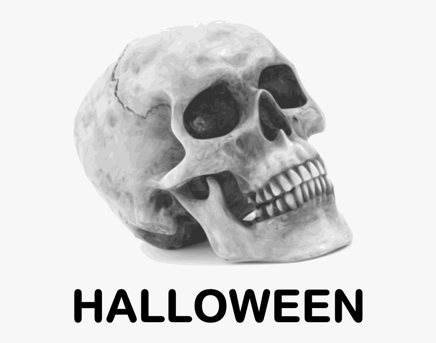 Halloween Skull Svg Clip Arts - Skull Public Domain, HD Png Download, Free Download