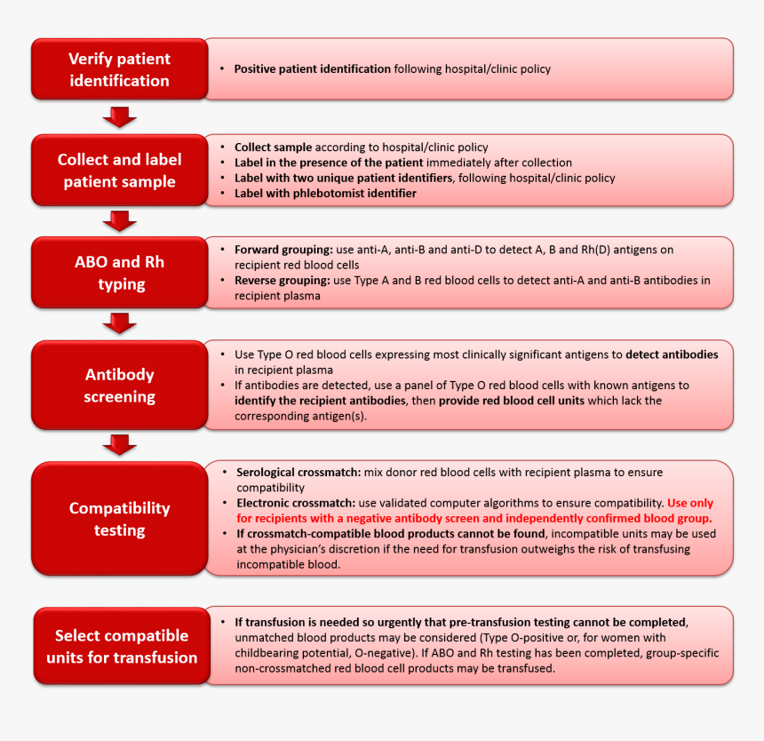 Pre Transfusion Testing, HD Png Download, Free Download