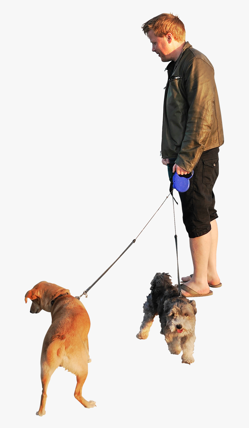 Person Walking Dog Transparent Background, HD Png Download, Free Download