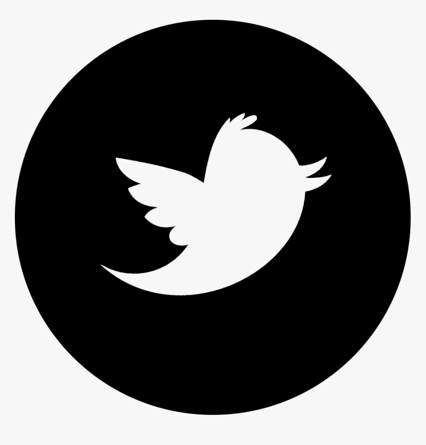 Tw - Transparent Twitter White Bird Logo, HD Png Download, Free Download