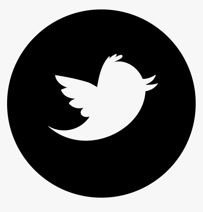 Tw Transparent Twitter White Bird Logo Hd Png Download Kindpng