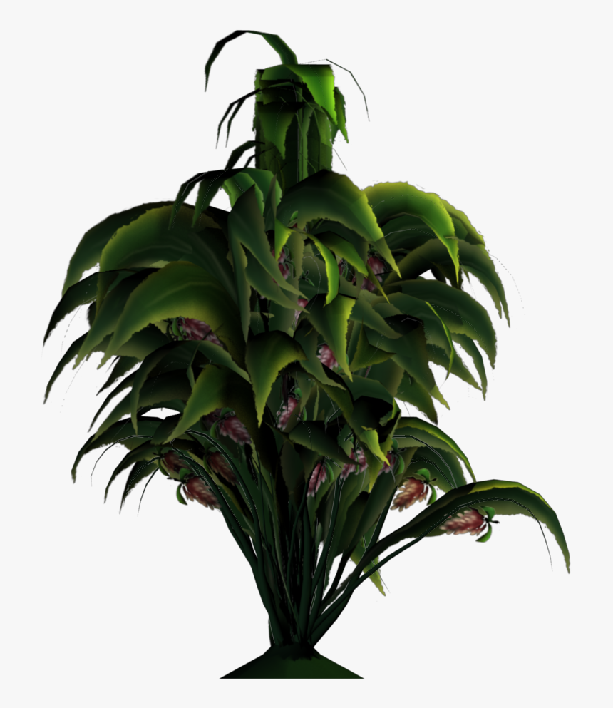 Houseplant, HD Png Download, Free Download