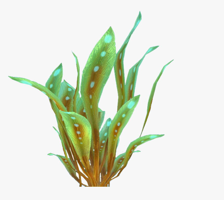 Plants, HD Png Download, Free Download