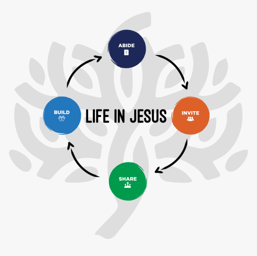 Life In Jesus Circles Strategy With Tree - Graphic Design, HD Png Download, Free Download