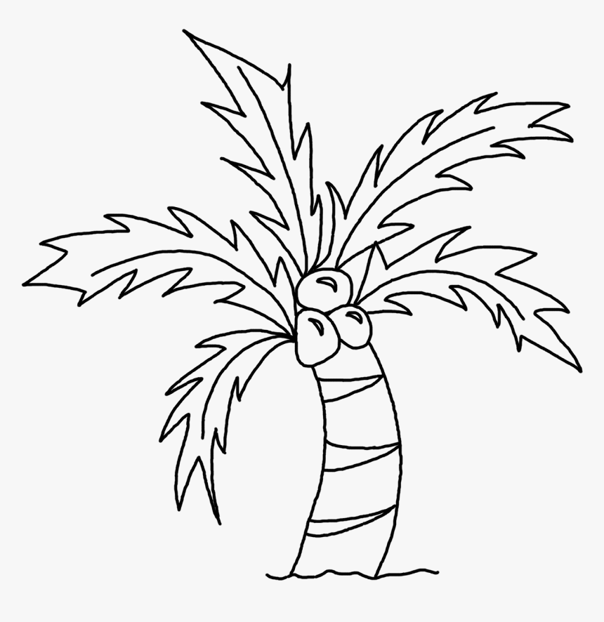 Coconut Tree Pictures Drawing ~ 3d Drawing - Draw A Coconut Tree, HD Png Download, Free Download