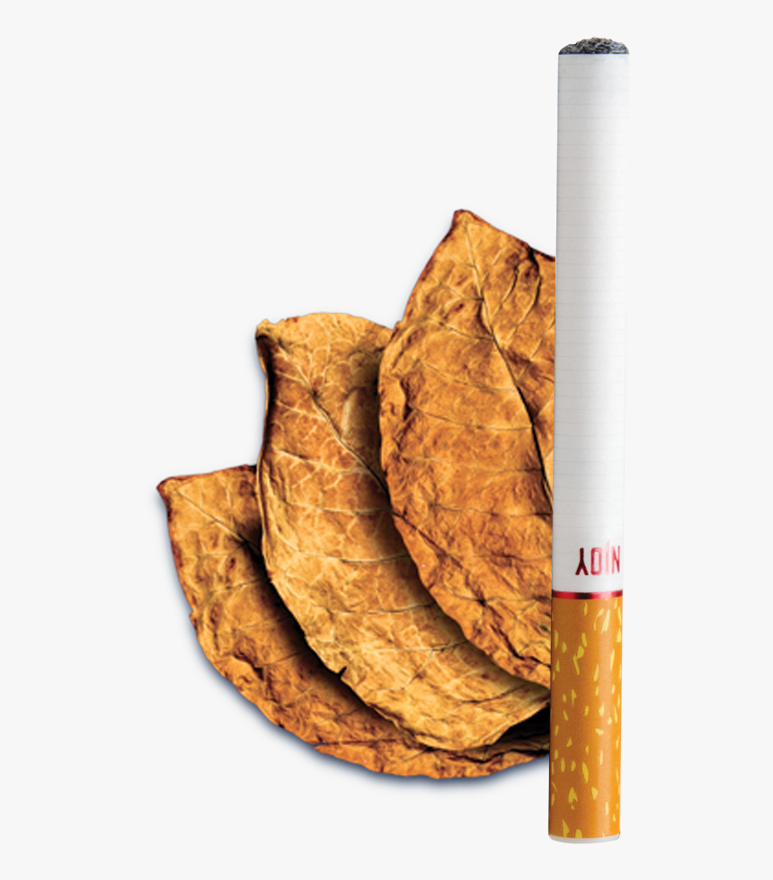 Bold Tobacco - Lavash, HD Png Download, Free Download