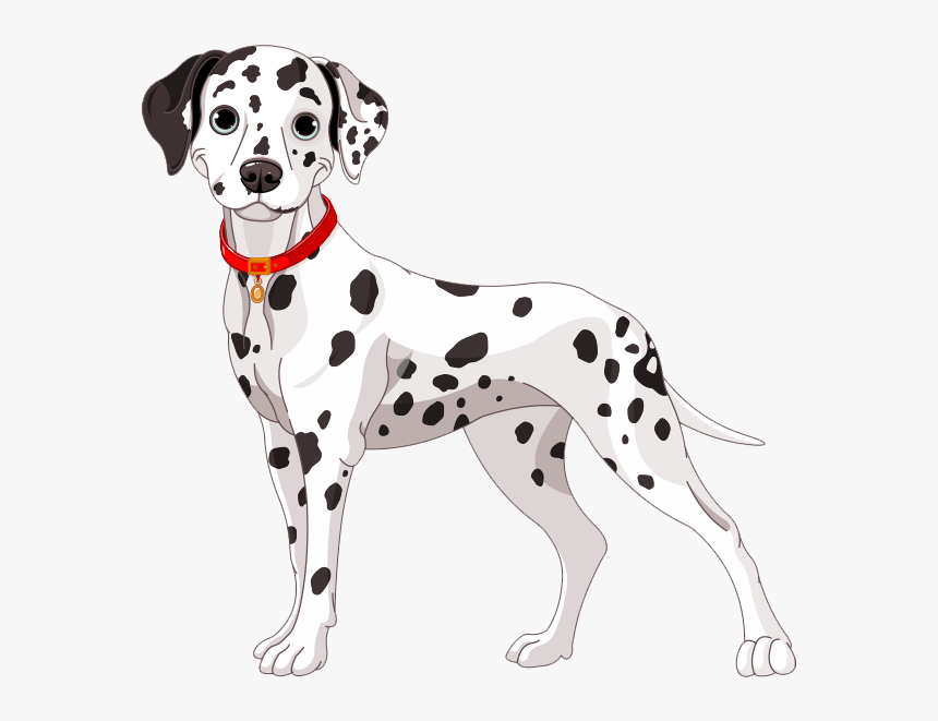 Dalmatian Png High-quality Image - Dalmatian Dog Clipart, Transparent Png, Free Download