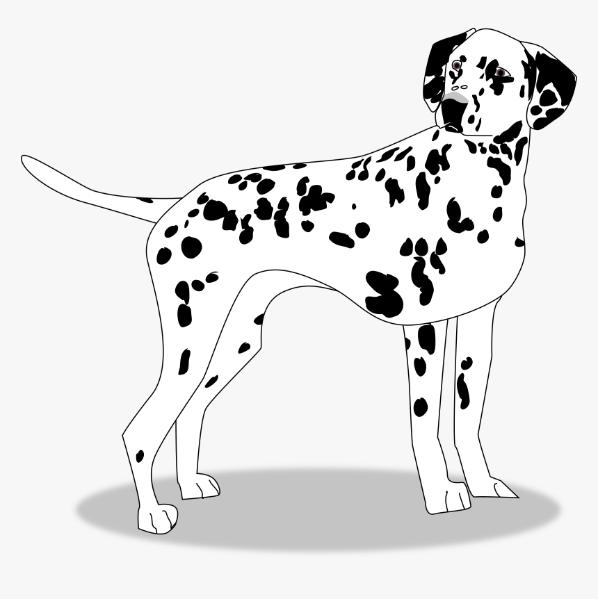 Big Image Png - Dalmatian, Transparent Png, Free Download