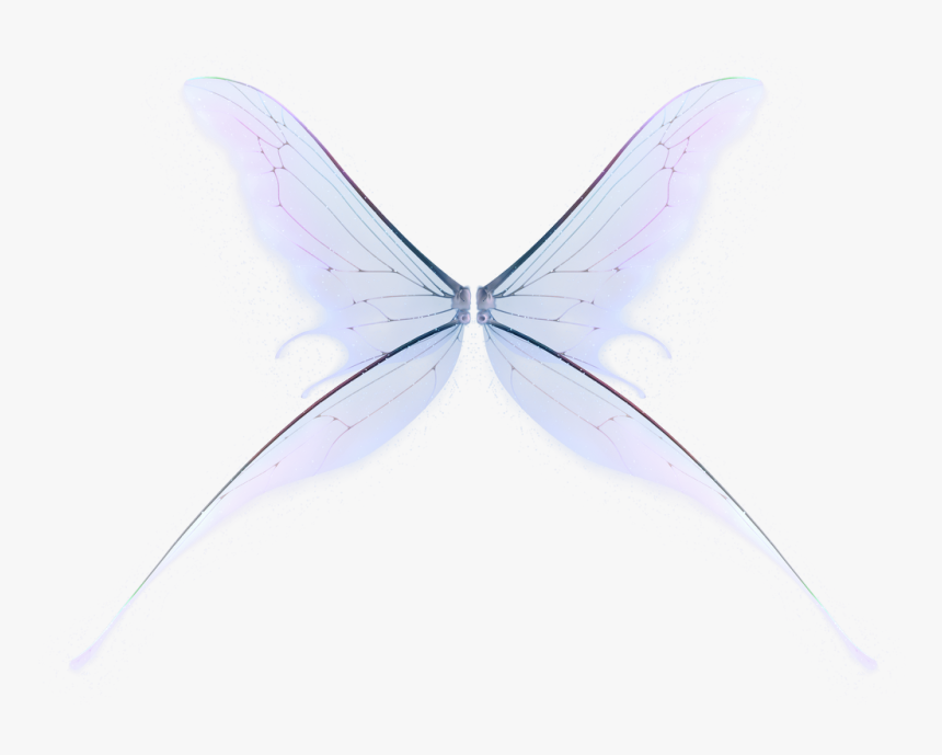 Wings Png Fairy - Lycaenid, Transparent Png, Free Download