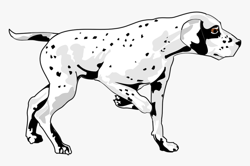 Transparent Dog Walking Clipart - Imagen De Un Perro Caminando, HD Png Download, Free Download