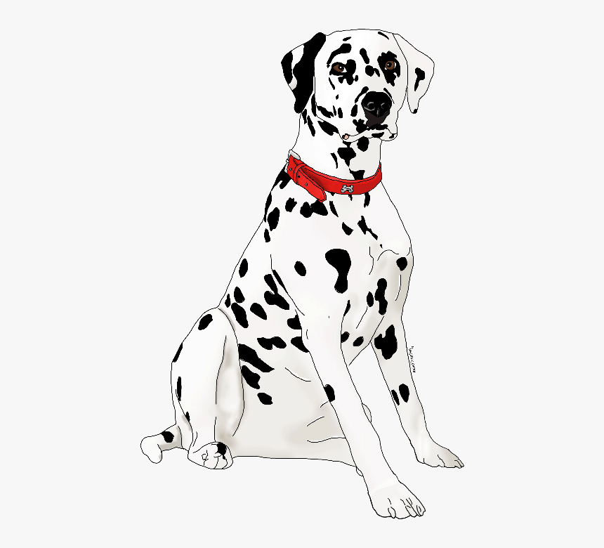 Dalmatian, HD Png Download, Free Download