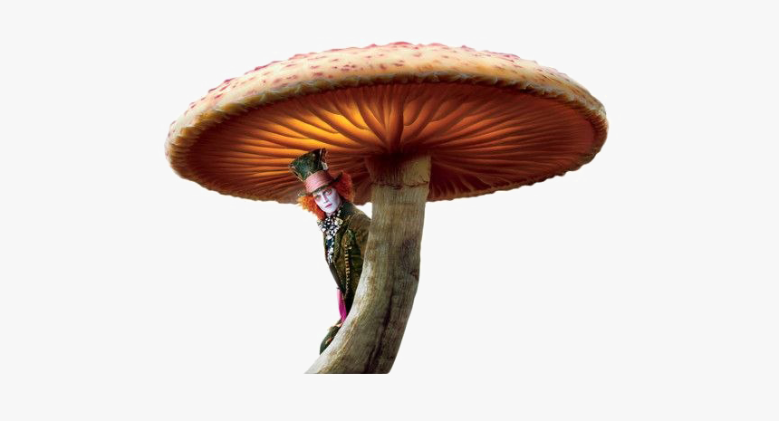 Toadstool Png Image - Alice In Wonderland Movie Mushroom, Transparent Png, Free Download