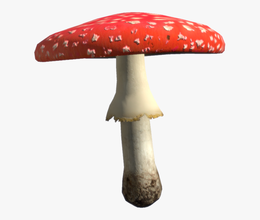 Amanita - Amanita Png, Transparent Png, Free Download