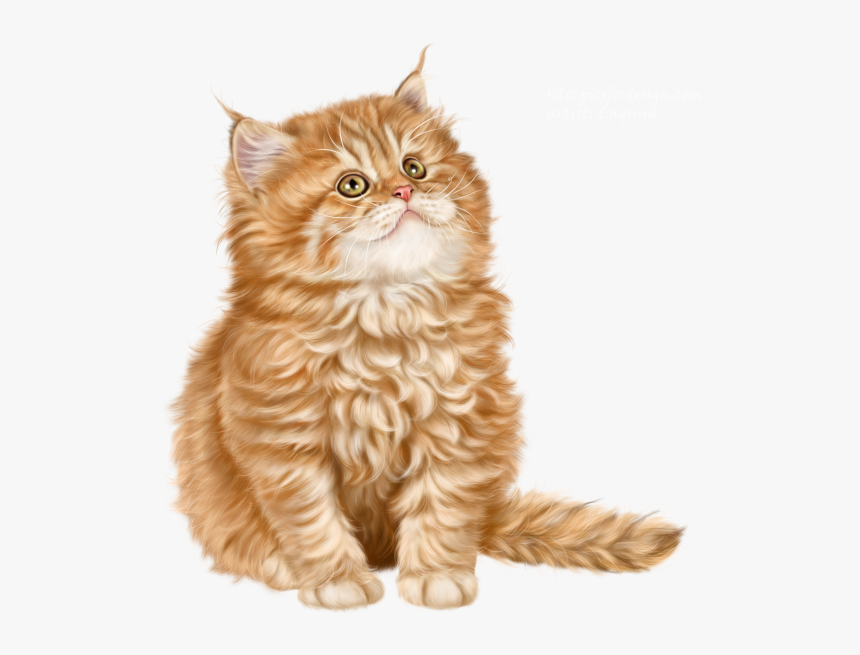 Red Cat, HD Png Download, Free Download