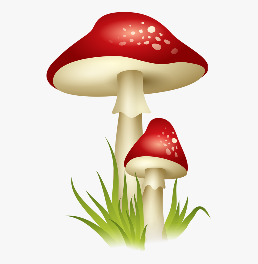 Png Pinterest Mushrooms - Mushroom Clipart Transparent, Png Download, Free Download