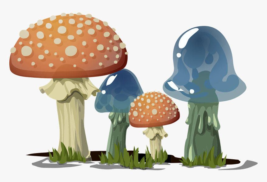 Mushroom Happy Birthday, HD Png Download, Free Download