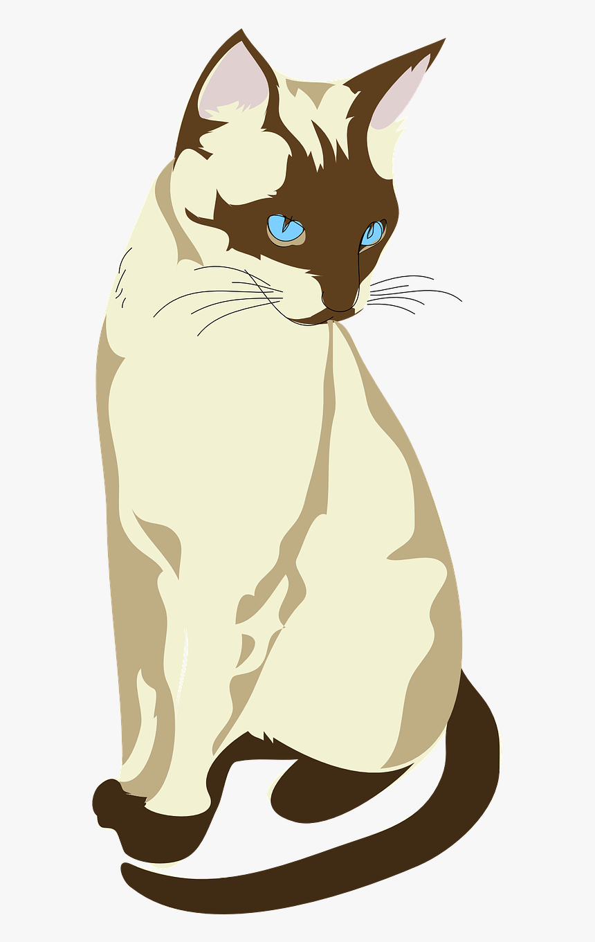 Desenho De Gato Siamês, HD Png Download, Free Download