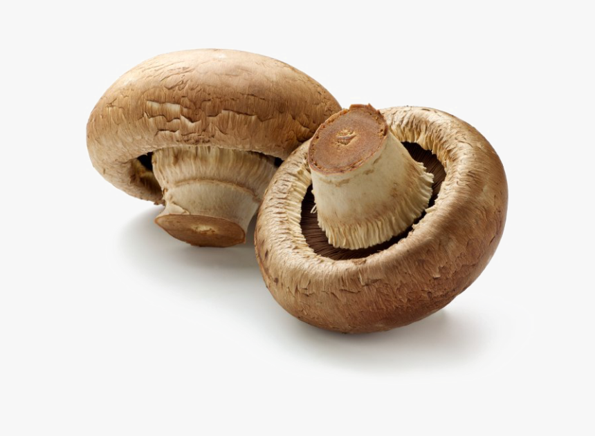 Toadstool Png Download Image - Brown Mushrooms, Transparent Png, Free Download