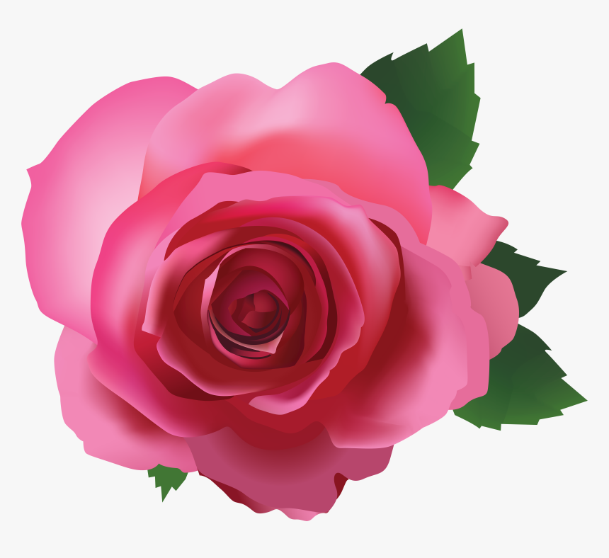 Png Image Gallery Yopriceville - Pink Rose Transparent Background, Png Download, Free Download