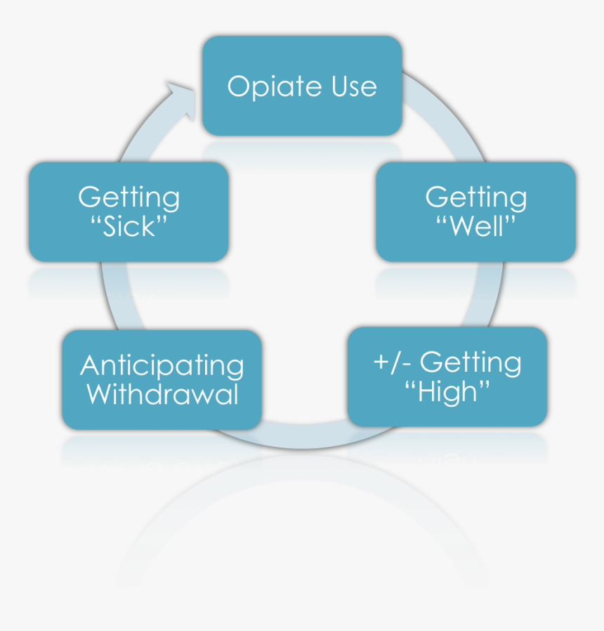 Opiate Cycle - Methods For De Addiction, HD Png Download, Free Download