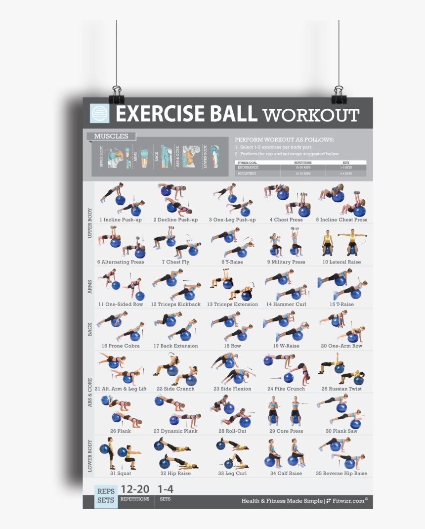 Exercise Ball With Resistance Bands Workouts, HD Png Download, Free Download