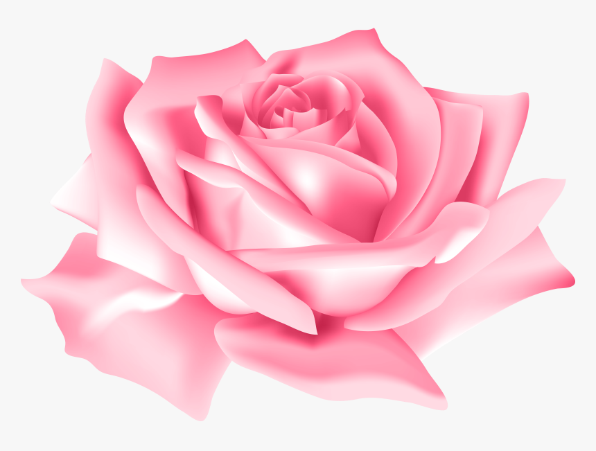 Pink Rose Flower Png Clip Art Image - Rose Pink Flower Png, Transparent Png, Free Download