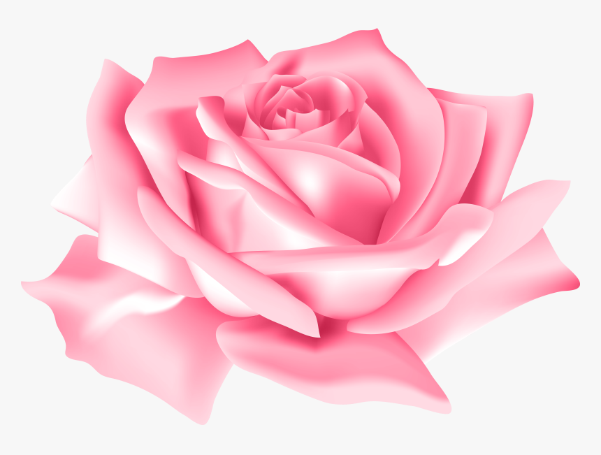 Pink Rose Flower Png Clip Art Image Rose Pink Flower Png Transparent Png Kindpng Pink Rose Flower Png Clip Art Image Rose Pink Flower Png Transparent Png Kindpng