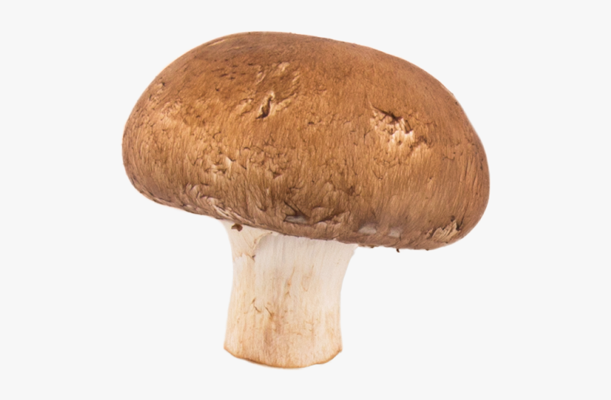 Mushroom Png Transparent Image - Mushrooms Png Transparent, Png Download, Free Download