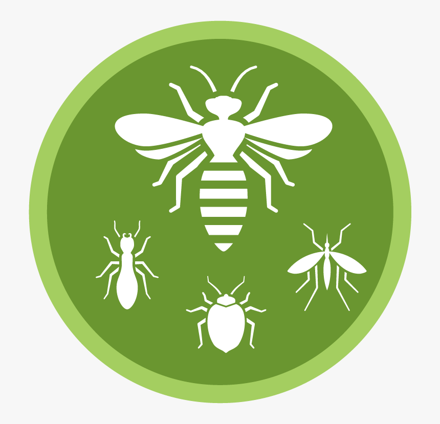 Insects - Logo Disinfestazione, HD Png Download, Free Download