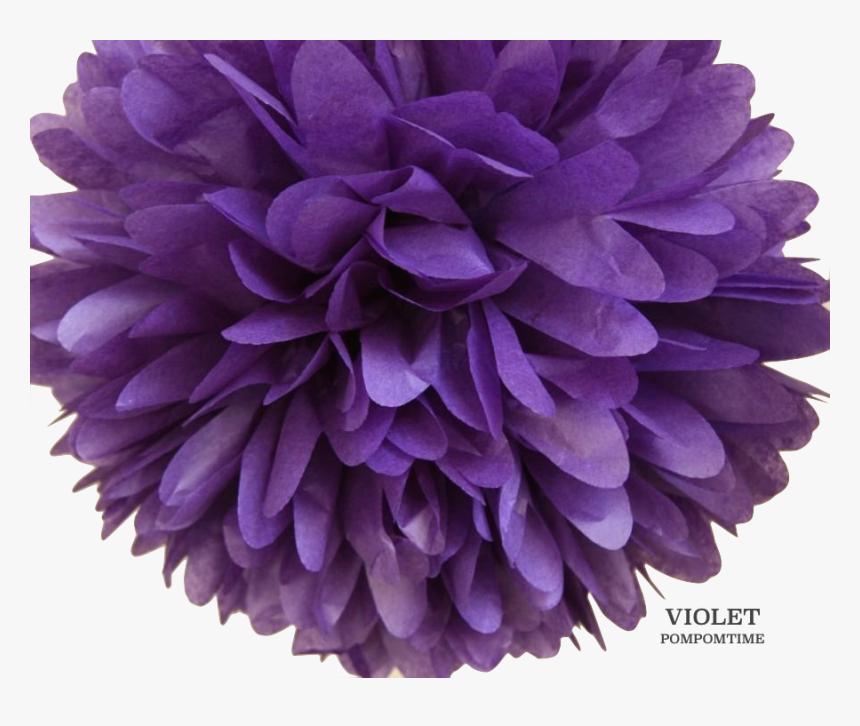 Pom-pom, HD Png Download, Free Download