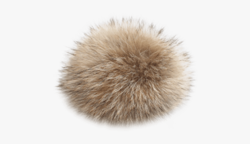 Coyote Fur Pom - Fur Pom Pom Transparent, HD Png Download, Free Download