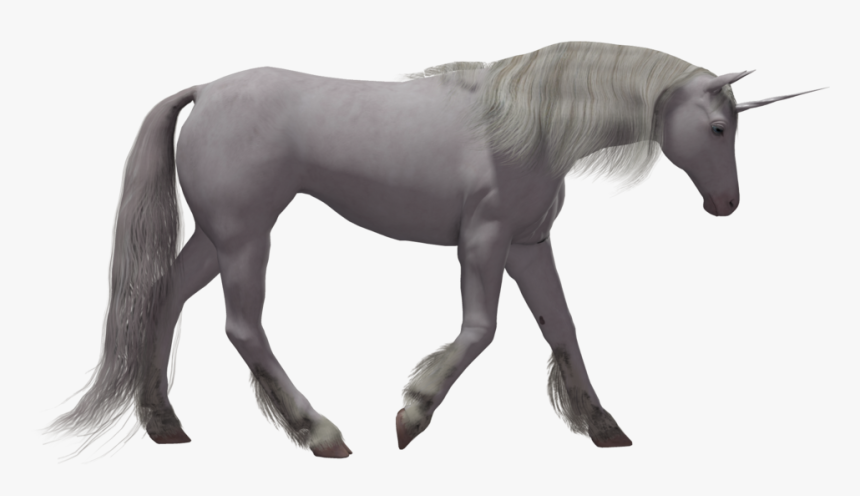 Best Free Unicorn Transparent Png Image - Portable Network Graphics, Png Download, Free Download
