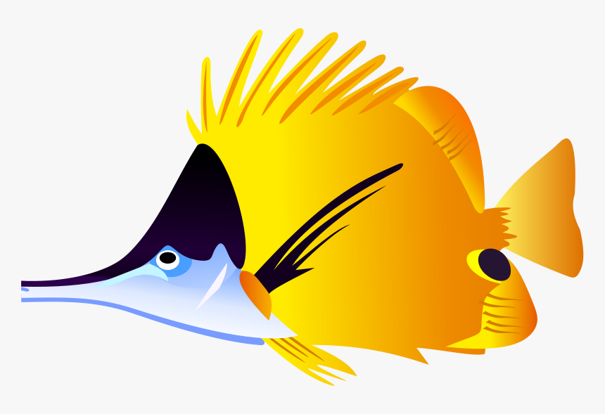 Art,pomacentridae,coral Reef Fish,graphics,marine Biology,bony-fish,beak - Clipart Angel Fish, HD Png Download, Free Download