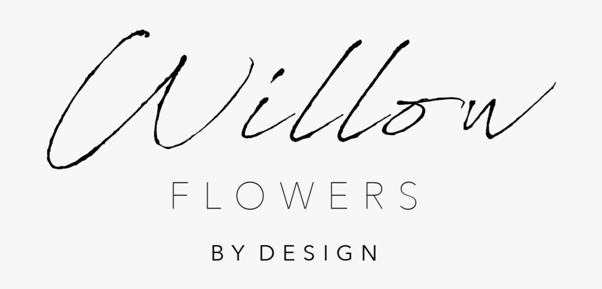 Logo Willow, HD Png Download, Free Download