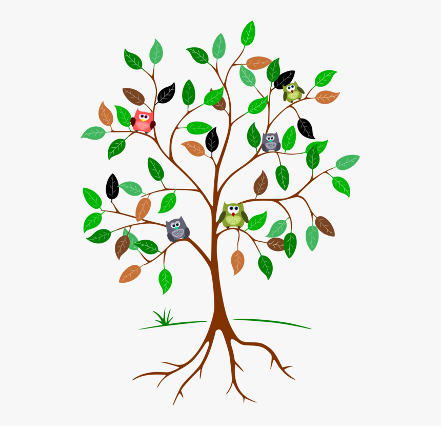 Plant,flora,leaf - Drawing Tree With Roots, HD Png Download, Free Download