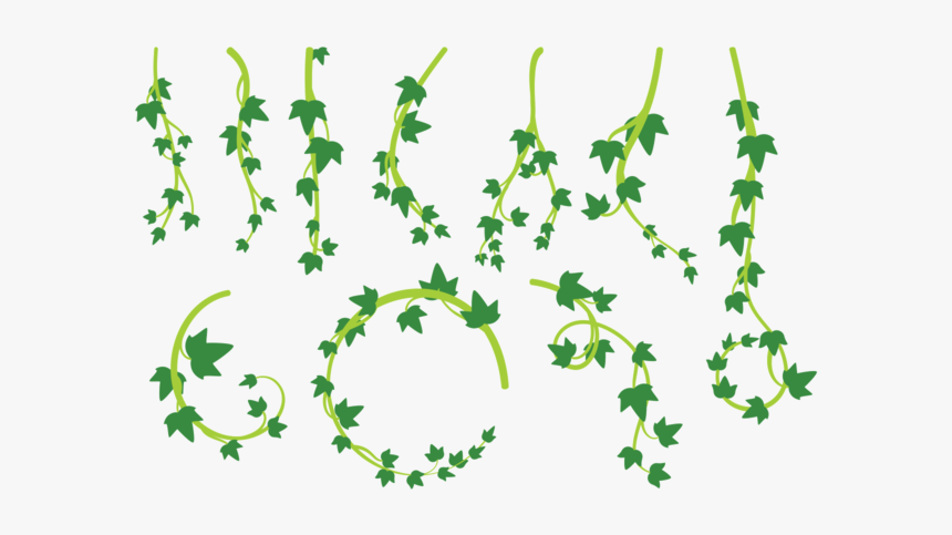 Liana Leaves Vector - Lianas Png, Transparent Png, Free Download