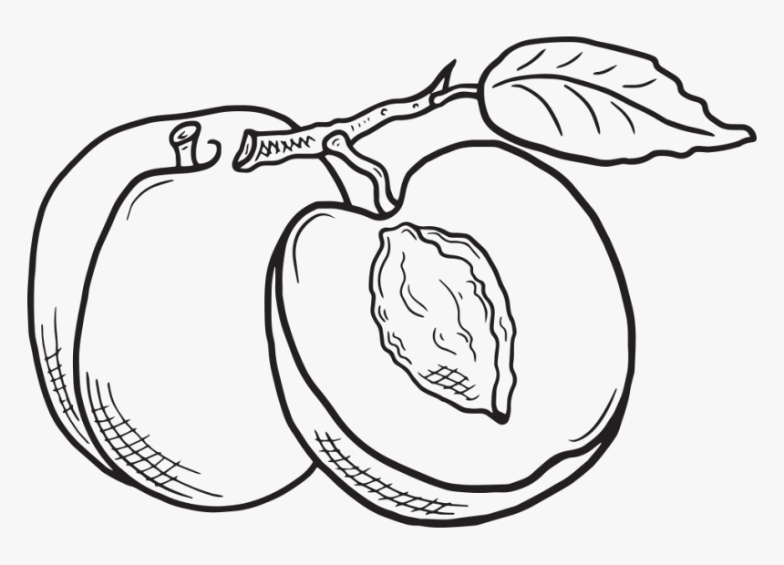 Clipart Cpeaches Black And White, HD Png Download, Free Download