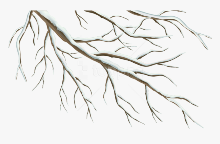 Free Png Winter Branch Png - Winter Tree Branch Clipart, Transparent Png, Free Download