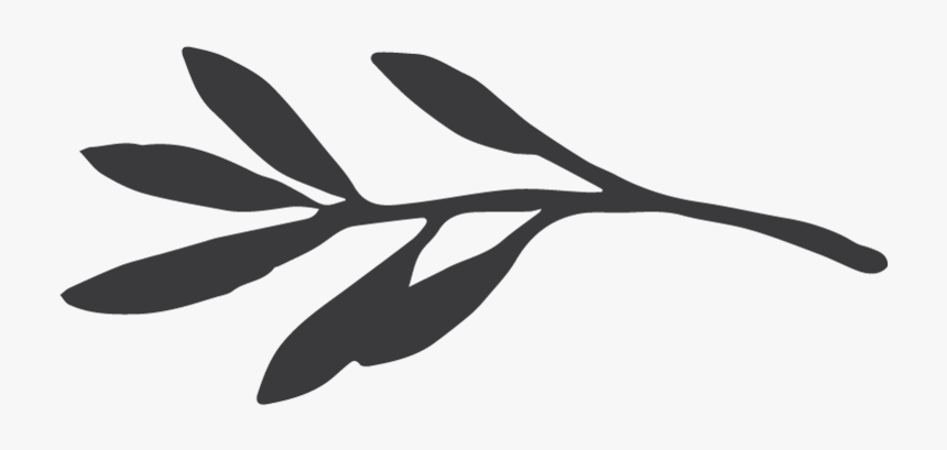 Lb Logos White Branch, HD Png Download, Free Download