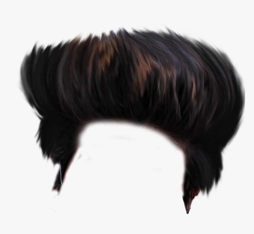 Hair Png Download Hd Quality - Hair Png Hd Download, Transparent Png, Free Download